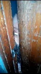 15968881042521.mp4
