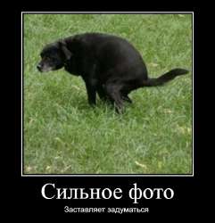 aQxMgMiKDOI.jpg