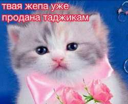 55bfd8833f710ec73bb56d1ffc8a00ce.jpg