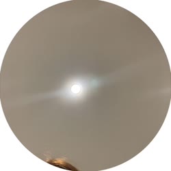 video - 104.mp4