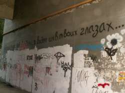PICT0082.JPG