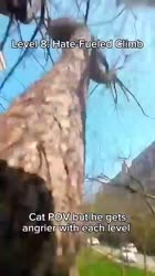 1610406868508.mp4