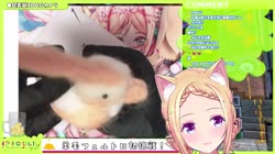 aki bird.mp4