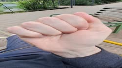 20250613155556.mp4
