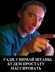 кинбисссс.png