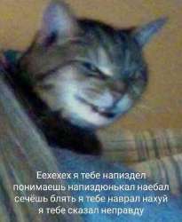 17462119902250.jpg