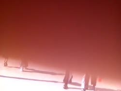 17276177336630.mp4