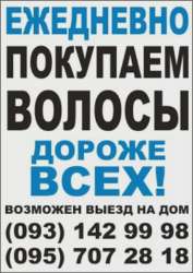 f20150807021019-pokupaem-volosy-2015-06-2.jpg.webp