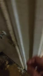 17500670538430.mp4