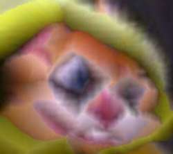 1749714209128.png