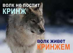 1749722188570.webp