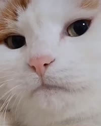 1749722970185.mp4