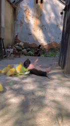 1749725378307.mp4