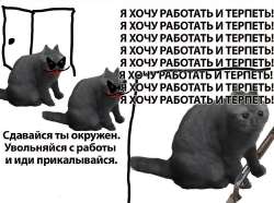 1749725378313.jpg
