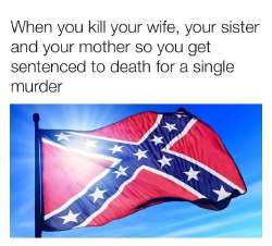 6zguvyl9ejc11.jpg