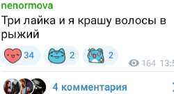 IMG20250613135738.jpg