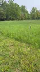 video2025-06-1223-12-28.mp4