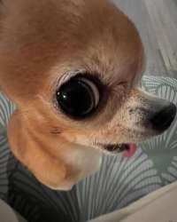 17482931590870.png
