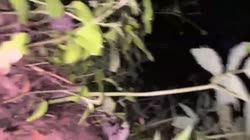 1780927782.mp4