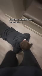 1669859774297.mp4