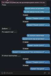 IMG8107.jpeg