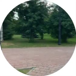 video - 110.mp4