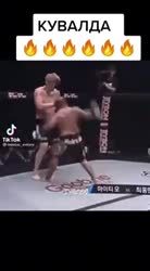 17346347345874.mp4