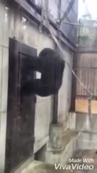 17498394755951.mp4