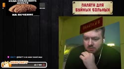 слон укус.mp4