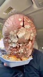 1749931601631164.webm