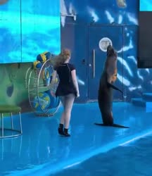 qg5vlw6qs0f0d10m0460x530.mp4
