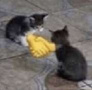 hand-shake-kitties.png
