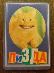 IMG20241017143836381.jpg