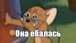075f3d030fb9a3a852adfc8c2ff5a110.jpg