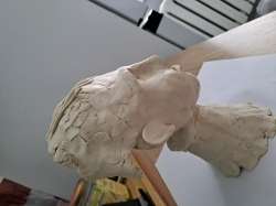 20250615180508.jpg