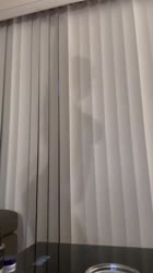 ssstwitter.com1750000894555.mp4