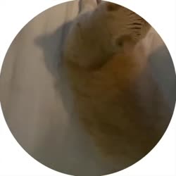 krujok04.mp4