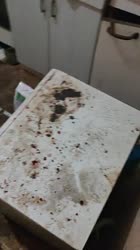 17499487448270.mp4