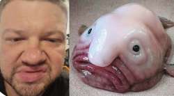 жабыч.jpg