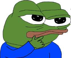 IMG5308.jpeg