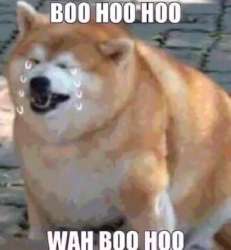 6fS7wO44jc.jpg