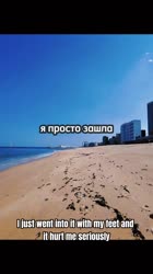 kerryshark7515385932938317064.mp4