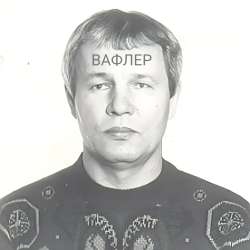 вафлер1.jpg