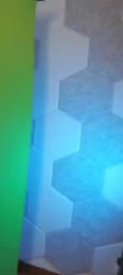 VID20250617064819567.mp4