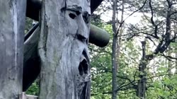 ezgif-7bd6b0be8b9ca8.mp4