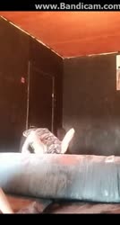 4.webm