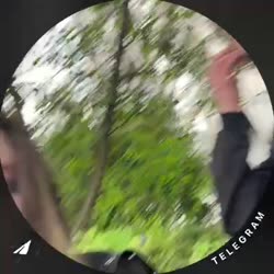 video.mp4