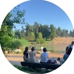video234.mp4