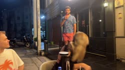 .mp4