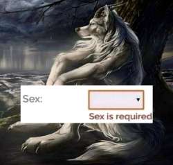 .jpg